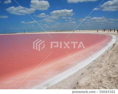 Pink Lagoon 50083382