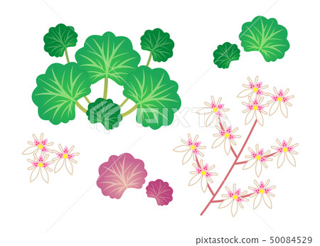 Under the snow 50084529