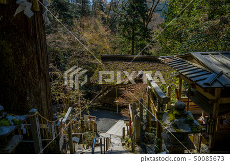 Yuuki Shrine in the early spring Yuuki Shrine in the early spring 50085673