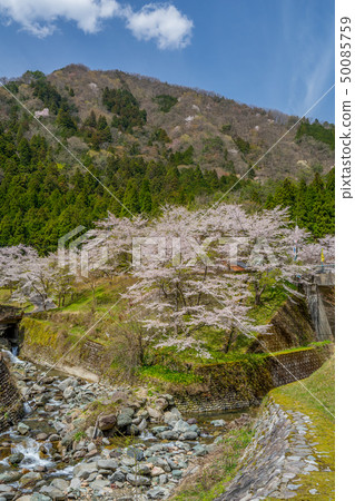 Near the cherry blossoming Amataki Amataki rest house Near the cherry blossoming Amataki Amataki rest house 50085759