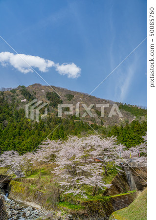 Near the cherry blossoming Amataki Amataki rest house Near the cherry blossoming Amataki Amataki rest house 50085760