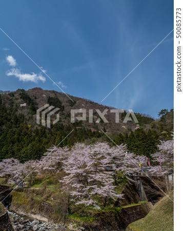 Near the cherry blossoming Amataki Amataki rest house Near the cherry blossoming Amataki Amataki rest house 50085773