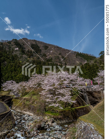 Near the cherry blossoming Amataki Amataki rest house Near the cherry blossoming Amataki Amataki rest house 50085775