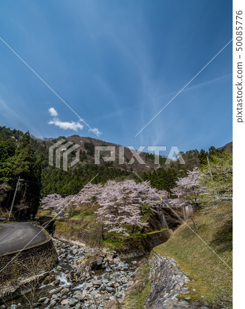 Near the cherry blossoming Amataki Amataki rest house Near the cherry blossoming Amataki Amataki rest house 50085776