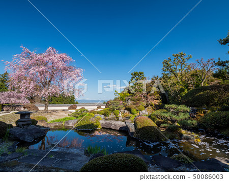 京都Kasai Nishishohoji 50086003