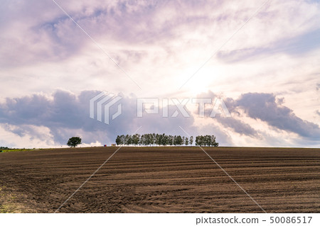 "Hokkaido" Biei's hill, the great sky at sunset "Hokkaido" Biei's hill, the great sky at sunset 50086517