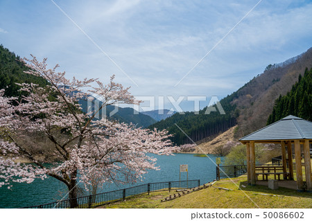 Spring sound water lake Hikihara dam Spring sound water lake Hikihara dam 50086602