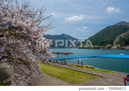 春天聲音水湖Hikihara水壩 50086615