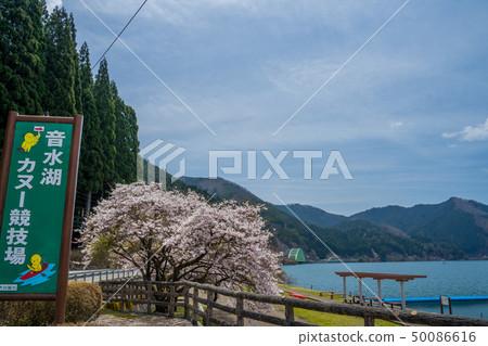 Spring sound water lake Hikihara dam Spring sound water lake Hikihara dam 50086616