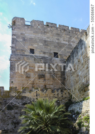 Fortress wall 50086667