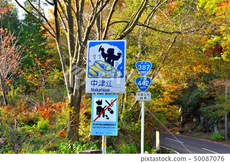 秋天的景色和美麗的風景 50087076
