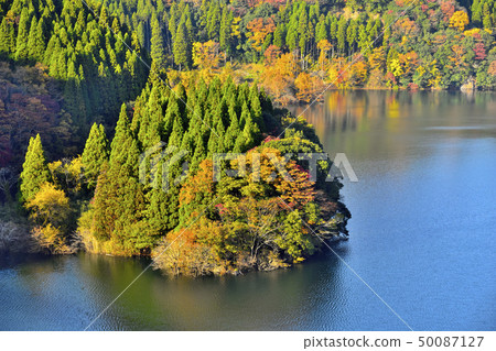 秋天的景色和美麗的風景 50087127