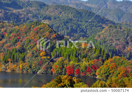 Autumn scenery with beautiful scenery 50087174