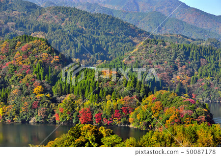 Autumn scenery with beautiful scenery 50087178