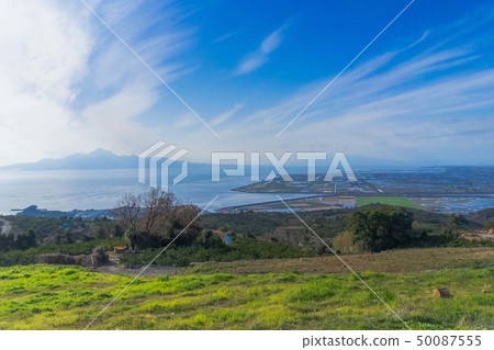 Narcissus Hill 50087555