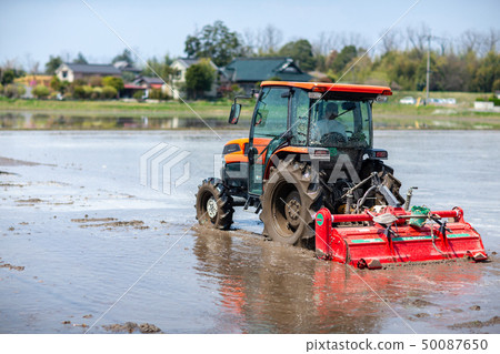 農業工作領域蔬菜收穫 50087650