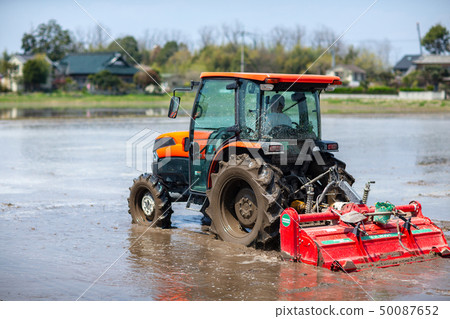 Agriculture work field vegetables harvest Agriculture work field vegetables harvest 50087652