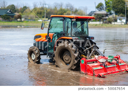 農業工作領域蔬菜收穫 50087654
