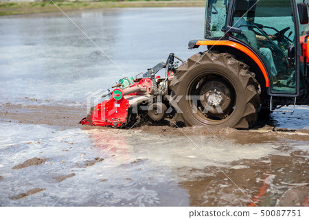 Agriculture rice field farming 50087751