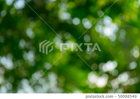 Abstract nature background Abstract nature background 50088549