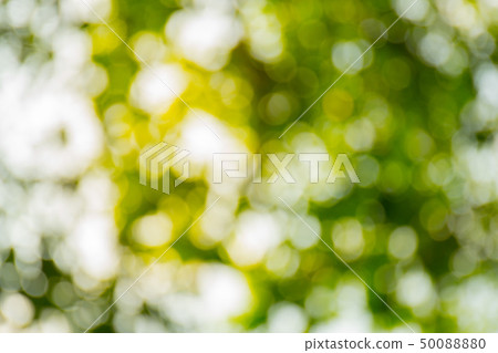 Abstract nature background Abstract nature background 50088880