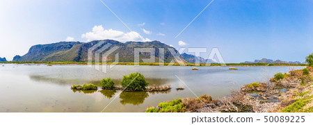 Beautiful landscape of mountain with grass field 50089225