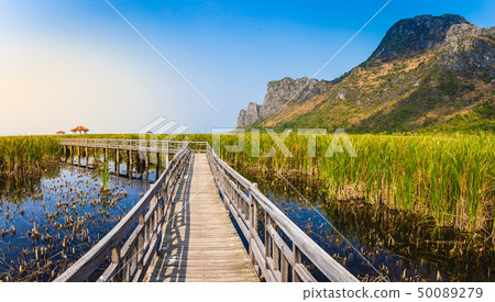 Beautiful landscape of wooden bridge walkway  50089279