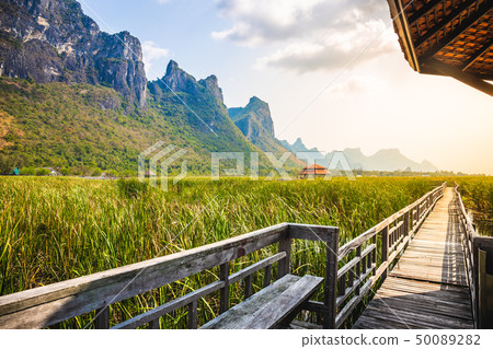 Beautiful landscape of wooden bridge walkway  50089282