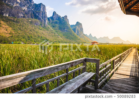 Beautiful landscape of wooden bridge walkway  50089283