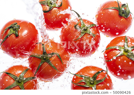 新鮮的西紅柿 50090426