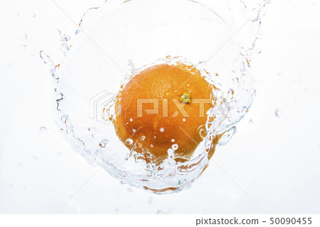 Fresh Orange Fresh Orange 50090455