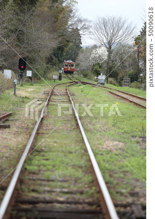 Photography cooperation: Isumi City, Chiba Prefecture, Club Tourism Inc. 50090618