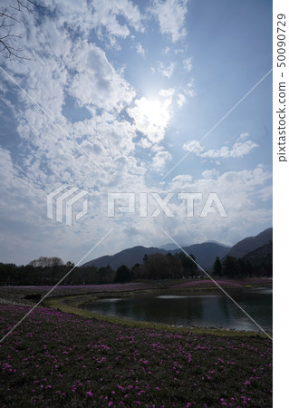 池塘,天空,光 池塘,天空,光 50090729