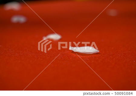 櫻桃花瓣散落在紅地毯上 櫻桃花瓣散落在紅地毯上 50091084