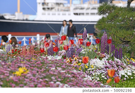 Yokohama cityscape of Japan We look at Yamashita Park and Hikawamaru 50092198