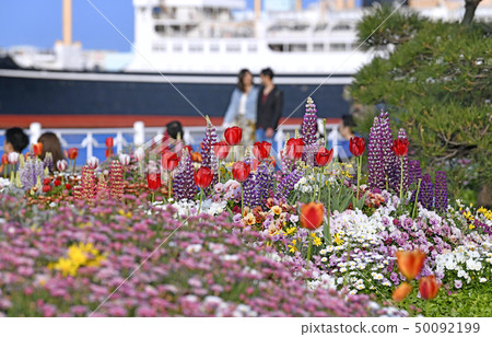 Yokohama cityscape of Japan We look at Yamashita Park and Hikawamaru Yokohama cityscape of Japan We look at Yamashita Park and Hikawamaru 50092199