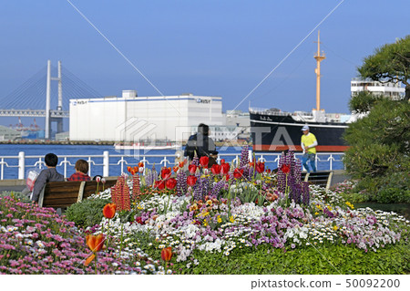 Yokohama cityscape of Japan We look at Yamashita Park and Hikawamaru Yokohama cityscape of Japan We look at Yamashita Park and Hikawamaru 50092200