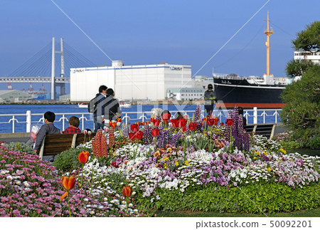 Yokohama cityscape of Japan We look at Yamashita Park and Hikawamaru 50092201
