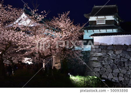 Cherry blossoms of Maizuru Park at evening Cherry blossoms of Maizuru Park at evening 50093898