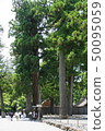 伊勢神宮_06 50095059