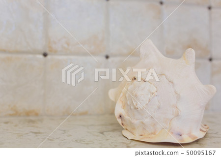 Beach interior decor: sea shells and lanterns on the wooden coffee table, natural colors. Detail of Beach interior decor: sea shells and lanterns on the wooden coffee table, natural colors. Detail of 50095167