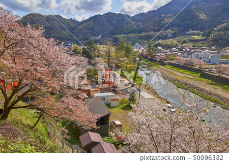 Tsuwano in Shimane (San-in's small Kyoto) View the Tsuwano River and Tsuwano Town from the approach of the Taikoku Valley Inari Shrine Senbon Torii Tsuwano in Shimane (San-in's small Kyoto) View the Tsuwano River and Tsuwano Town from the approach of the Taikoku Valley Inari Shrine Senbon Torii 50096382