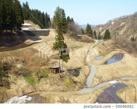  Terraced rice fields in an absence field 50096882