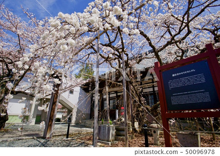 Morioka Kashidare of Morioka Ryukoku-ji Temple 50096978