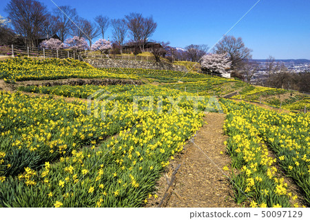 Shinshu長野縣上田市信州國際音樂村Suisusen和Sakura 50097129
