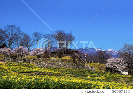 Shinshu長野縣上田市信州國際音樂村Suisusen和Sakura 50097133