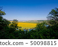 Beautiful view of nature. Blue sky, yelow field. 50098815