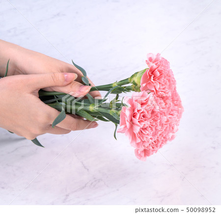 Mother's Day Yasuno Kaoru Sending Flower 卡片 Celebration Carnation Top View Mother's Day 50098952