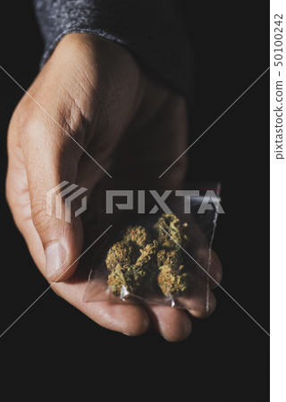 young man with a bag of marihuana buds young man with a bag of marihuana buds 50100242