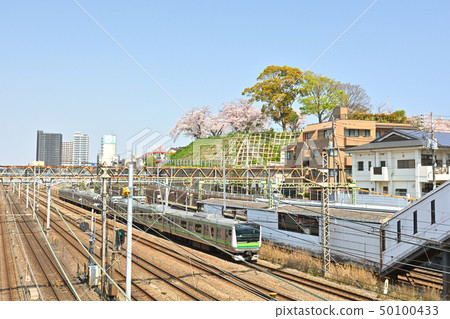 Distant view of Yokohama-Kukigaya Park 50100433